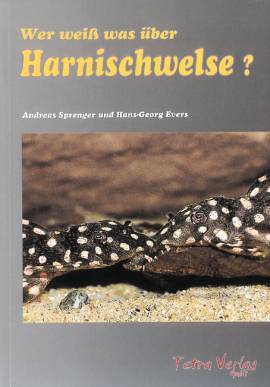 Wer wei� was �ber Harnischwelse - Bild vergr��ern 