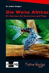 Die Welse Afrikas <b><font color=\-#990000\->(NEU!)</b></font> - Produktbild 