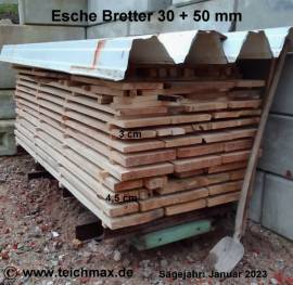 320 Esche Brett 30 x 200 - 3000 - Bild vergrern 