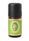 Kardamom bio 5 ml, Elettaria cardamomum, Primavera