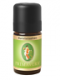 Karottensamen 5 ml, Daucus carota, Primavera