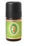 Latschenkiefer bio 5 ml, Pinus mugo, Primavera
