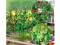 Busch 1214 Gurken & Tomaten Rankhilfen Set H0 Bausatz