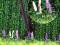 Busch 1217 Wild Lupinen 16 Stauden unterschiedliche Farben H0 Bausatz
