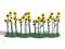 Busch 1240 24 Sonnenblumen fertig montiert Fertigblumen H0