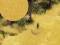 Busch 1301 Groundcover Bodendecker Trockenes Gras H0 TT N 0
