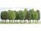 Busch 6485 15 Laubbäume Laubbaum Bäume Baum 9-14 cm H0 TT