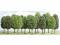 Busch 6486 12 Laubbäume Laubbaum Bäume Baum 7-12,5 cm H0 TT