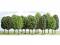Busch 6585 15 Laubbäume 4-6 cm Bäume Laubbaum Baum N Z