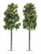 Busch 6791 2 Platanen 165mm Baum Bäume Laubbaum H0