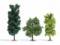 Busch 6941 3 Laubbäume 95-150mm hoch Laubbaum Baum Bäume H0