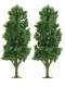 Busch 6953 2 Pappeln Pappel Laubbaum Baum 15 cm H0
