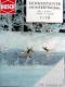 Busch 7170 Schneepulver Wintertraum Schnee 200g H0