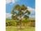 Faller 181182 1 PREMIUM Eberesche 90mm H0