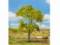 Faller 181183 1 PREMIUM Buche 110mm H0