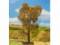 Faller 181184 1 PREMIUM Eiche 110mm H0