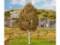 Faller 181187 1 PREMIUM Birke 120mm H0 TT N
