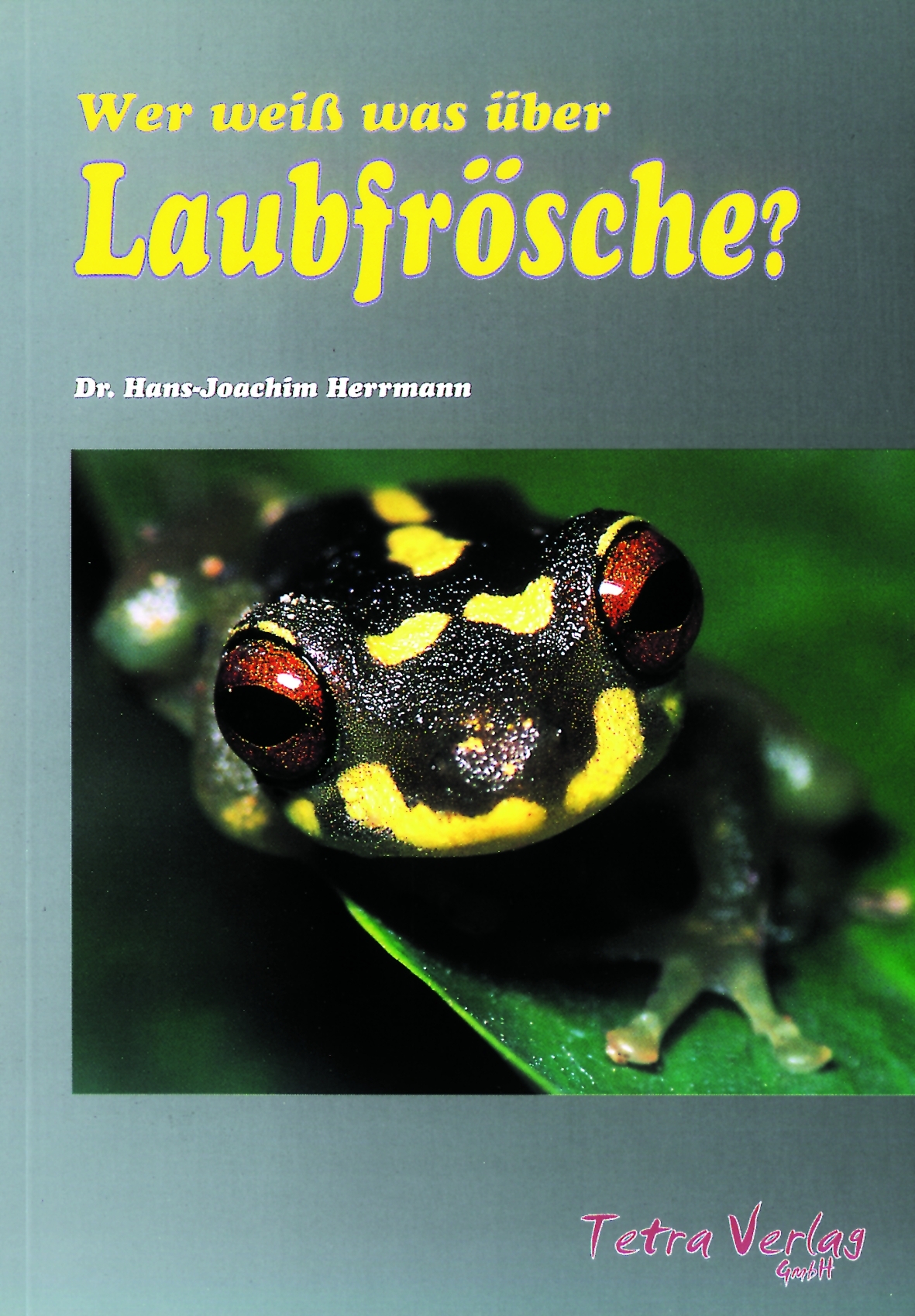 Wer weiß was über Laubfrösche