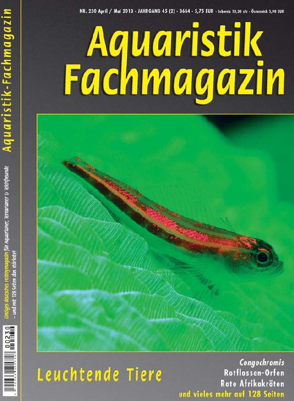 Aquaristik-Fachmagazin, Ausgabe 230 (April/Mai 2013)
