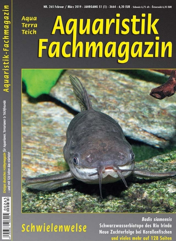 Aquaristik-Fachmagazin, Ausgabe 265 (Feb./März 2019)