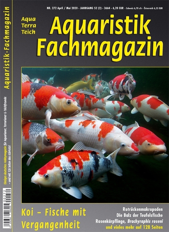 Aquaristik-Fachmagazin, Ausgabe 272 (April/Mai 2020)