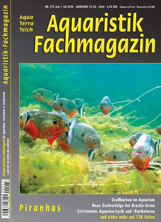 Aquaristik-Fachmagazin, Ausgabe 273 (Juni/Juli 2020)