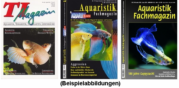 TI-Magazin/Aquaristik-Fachmagazin (3 Ausgaben zum Sparpreis!)