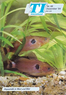 TI-Magazin/Aquaristik-Fachmagazin, Ausgabe 68